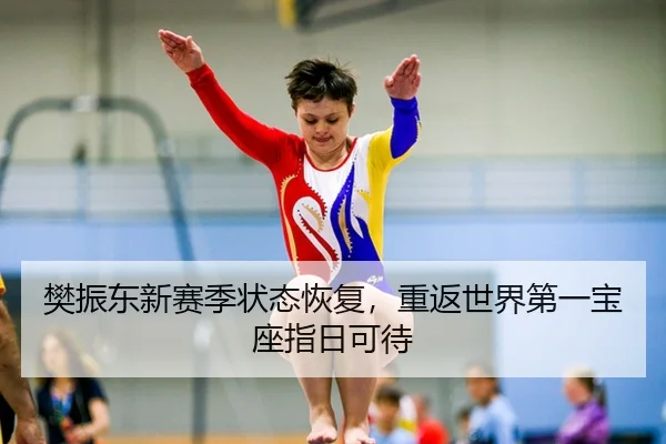 樊振东新赛季状态恢复，重返世界第一宝座指日可待